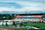 CalgarySports