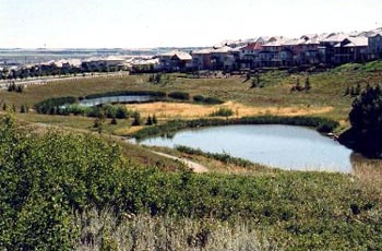 Edgemont, Calgary, Alberta
